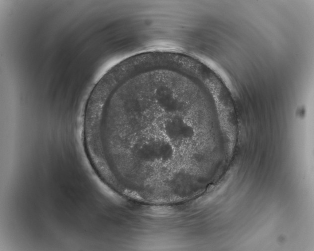 X0000102351383200808151741