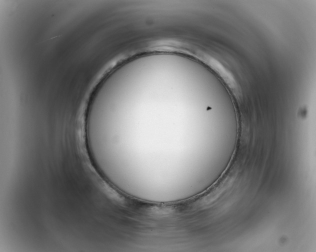 X0000102351384200808151741