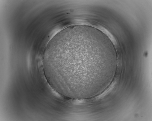 X0000102351385200808151741