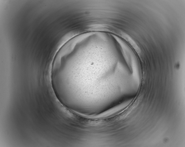 X0000102351386200808151740