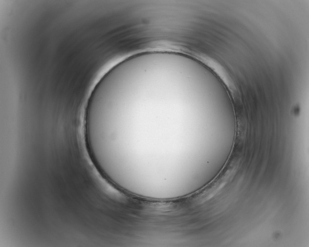 X0000102351387200808151740