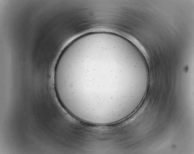 X0000102351388200808151740