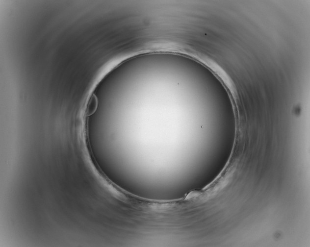 X0000102351389200808151740