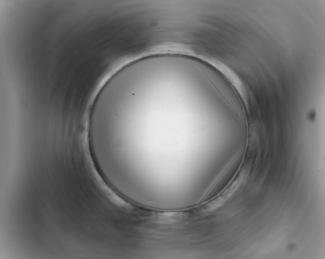 X0000102351390200808151740