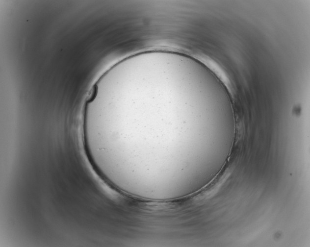 X0000102351391200808151740