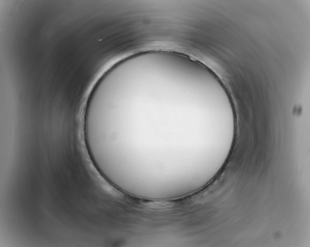 X0000102351392200808151740