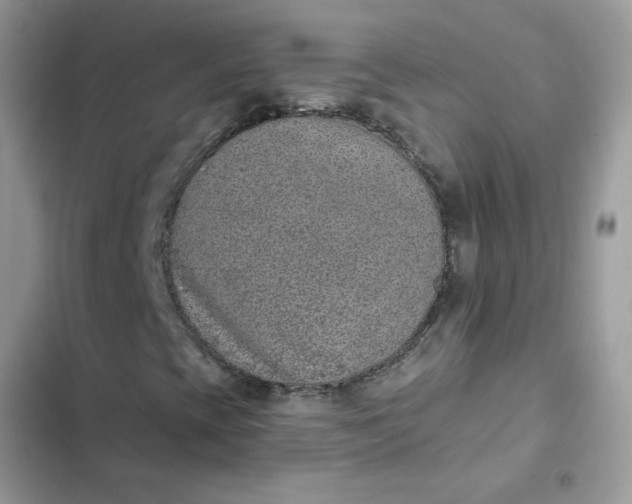 X0000102351393200808151740