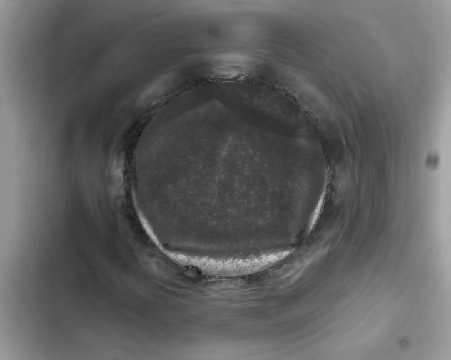 X0000102351394200808151740