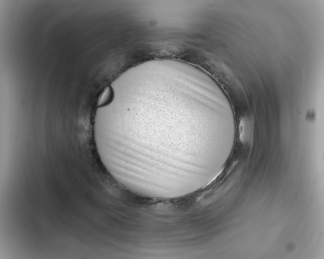 X0000102351395200808151740