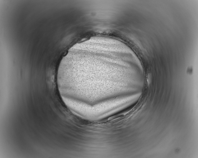 X0000102351396200808151740