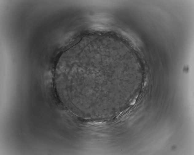 X0000102351397200808151740