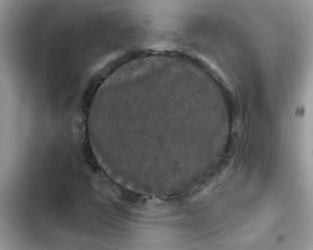 X0000102351398200808151740