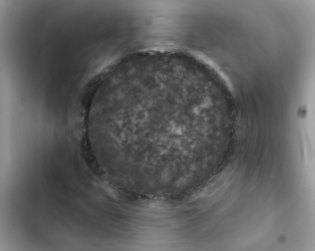 X0000102351399200808151740