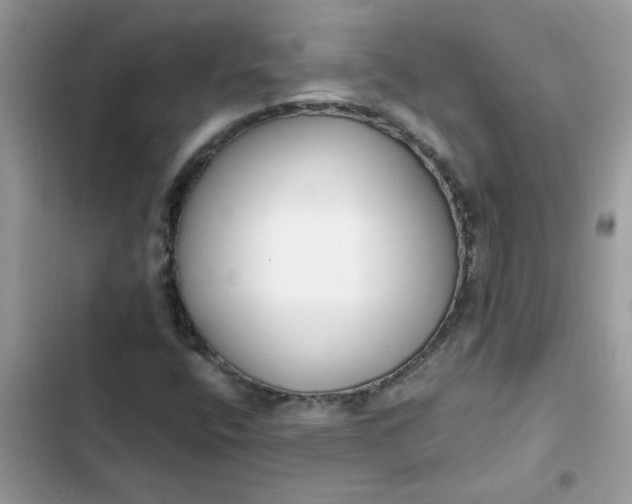 X0000102351400200808151740