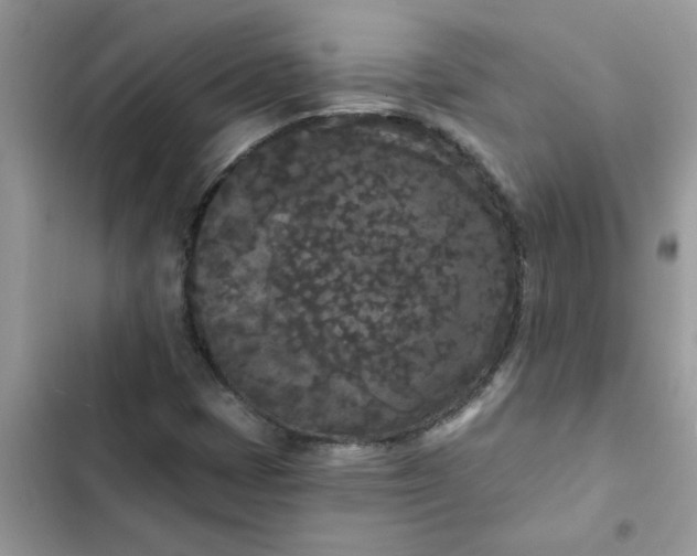 X0000102351401200808151740