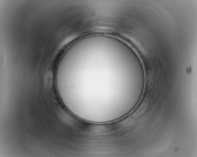 X0000102351402200808151740