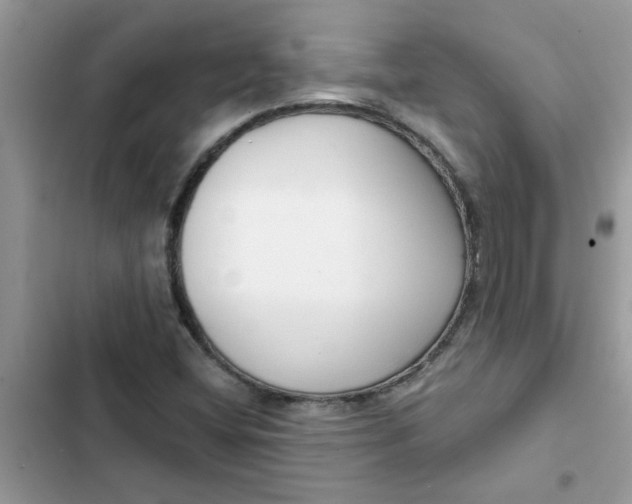 X0000102351404200808151740