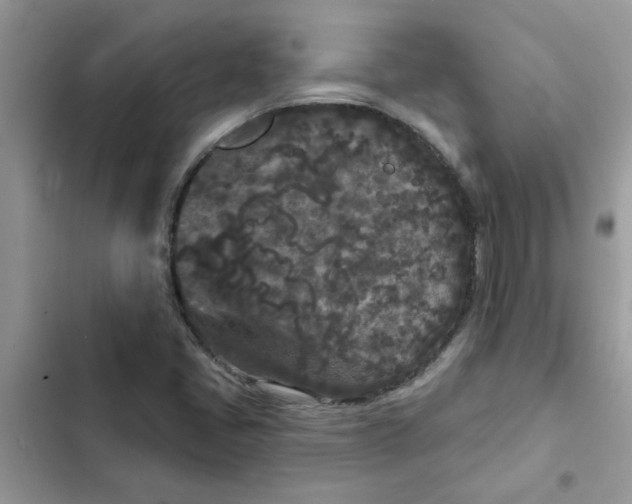 X0000102351405200808151740