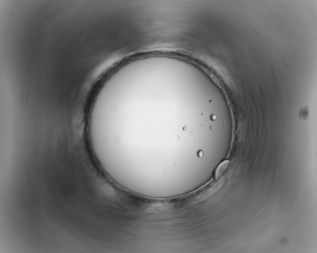 X0000102351406200808151740