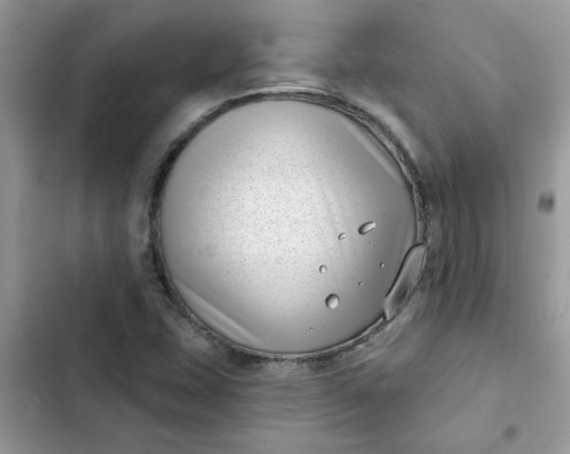 X0000102351407200808151740