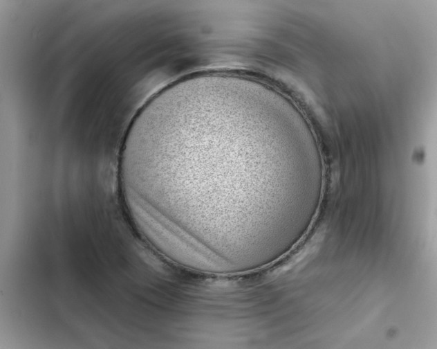 X0000102351409200808151740