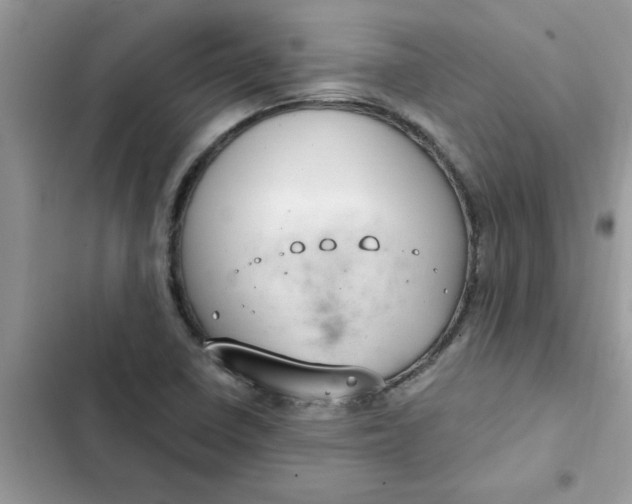 X0000102351410200808151740