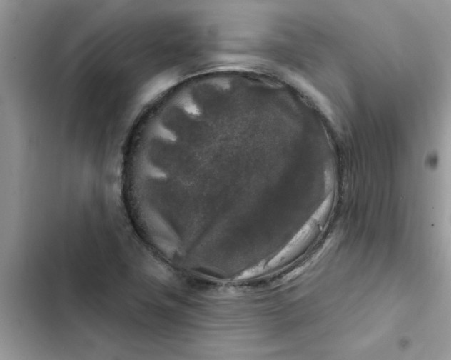 X0000102351411200808151740