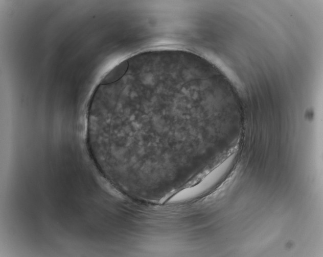 X0000102351413200808151740