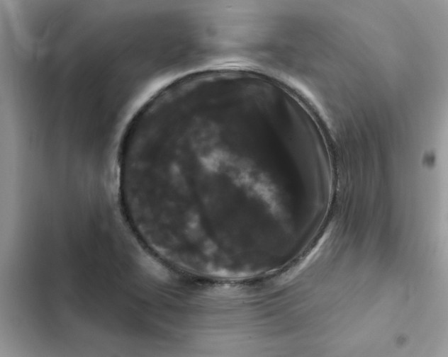 X0000102351414200808151740