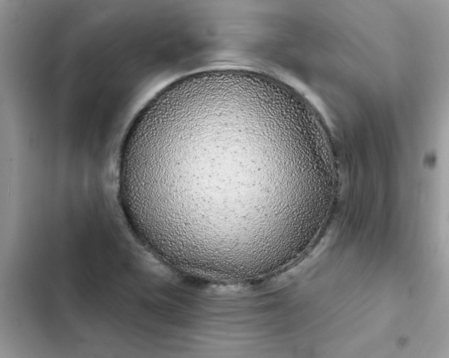 X0000102351415200808151740