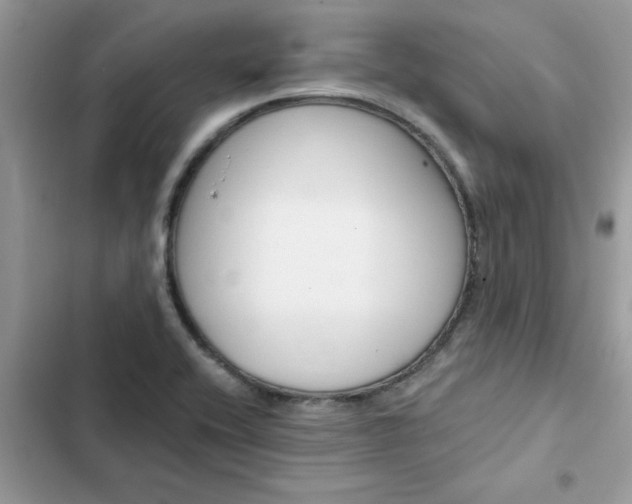 X0000102351416200808151740