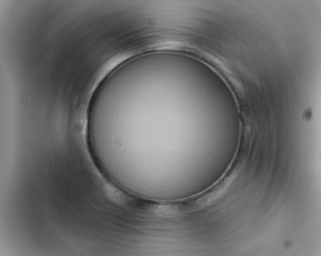 X0000102351418200808151740