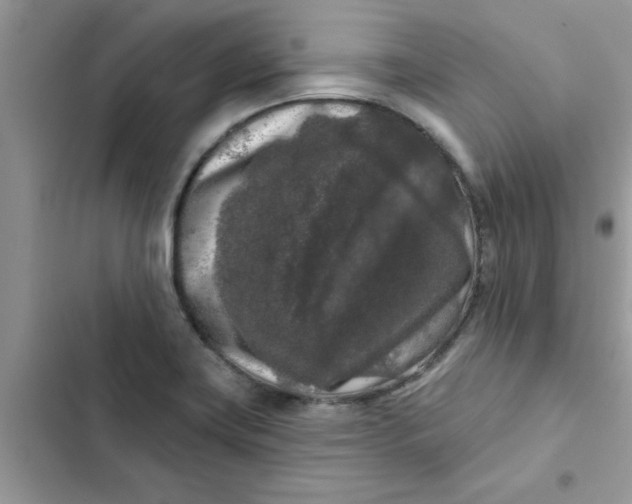 X0000102351419200808151740