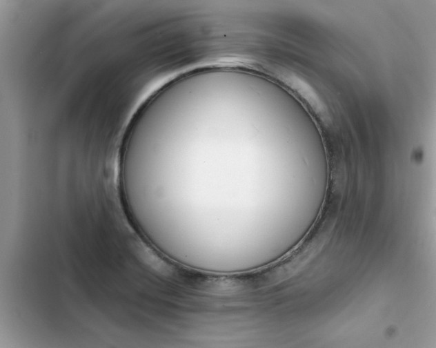 X0000102351420200808151740