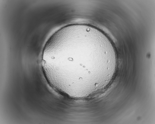 X0000102351421200808151740