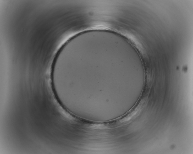 X0000102351422200808151740