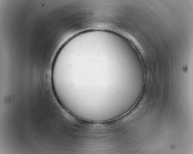 X0000102351424200808151740