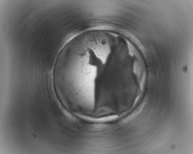 X0000102351425200808151740