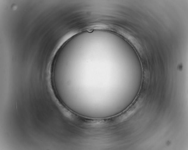 X0000102351426200808151740