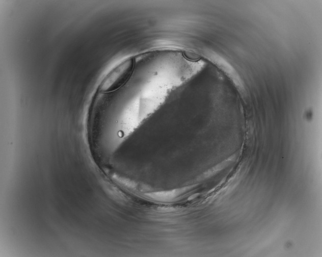 X0000102351427200808151740