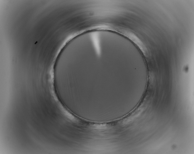 X0000102351428200808151740