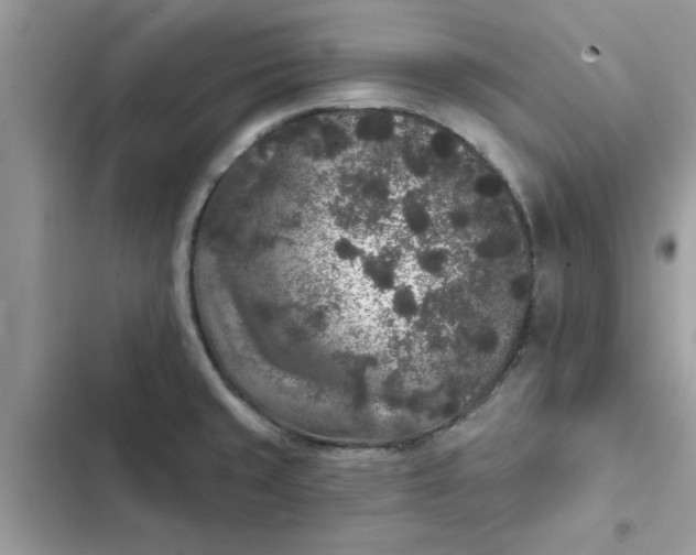 X0000102351429200808151740