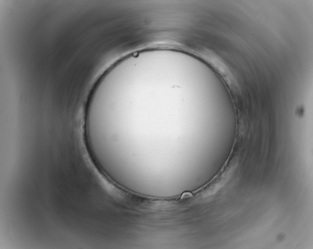 X0000102351430200808151740