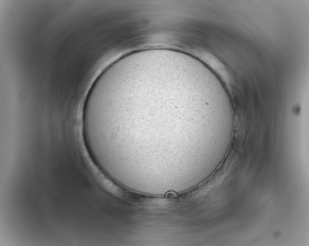 X0000102351431200808151740