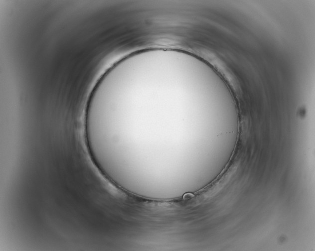 X0000102351432200808151740