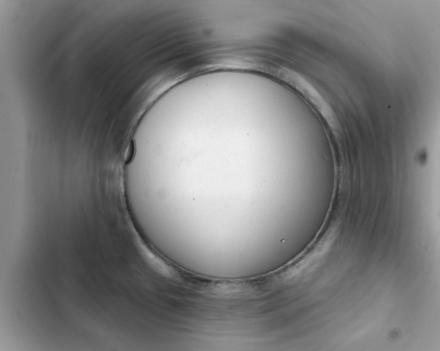 X0000102351433200808151740