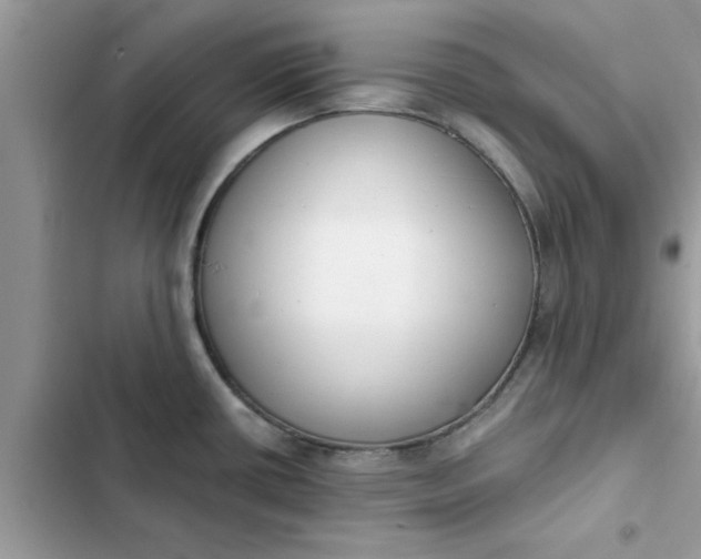 X0000102351434200808151740