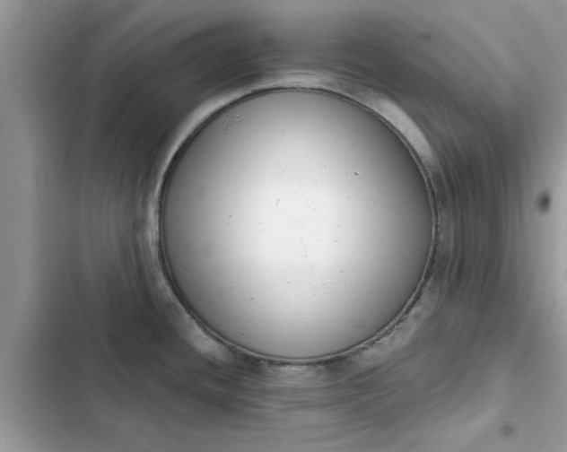 X0000102351436200808151740