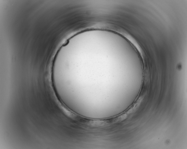 X0000102351437200808151740