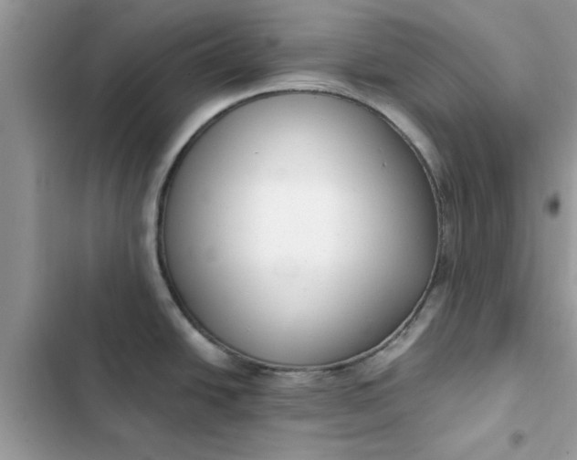 X0000102351438200808151740